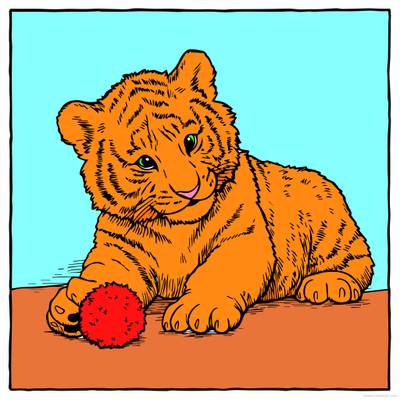 Farvelagt version: Bedårende baby-tiger