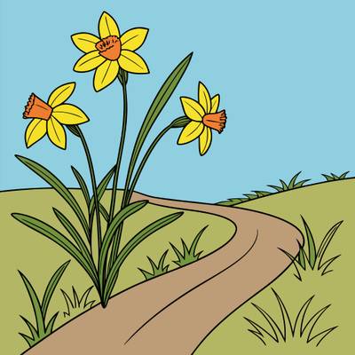 Colored version: Simple daffodils beside a path