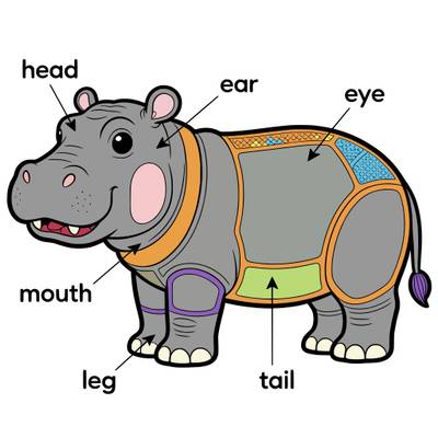 Colored version: Labeled anatomy diagram of a hippo