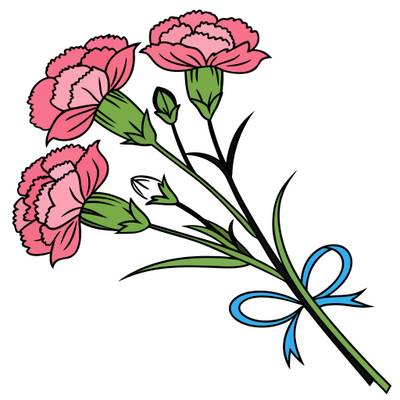 Colored version: Simple bouquet of carnation stems