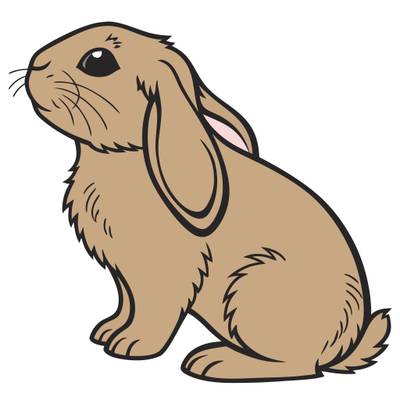 Wersja pokolorowana: Puszysty królik baran z boku
