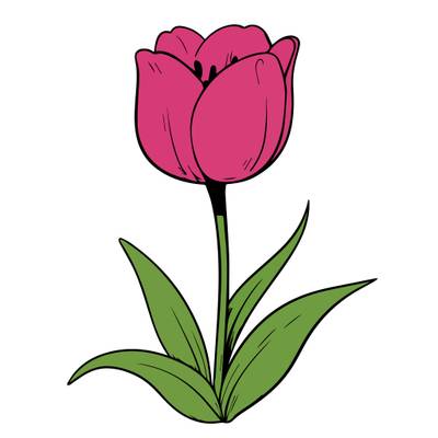 Fargelagt versjon: Fargeleggingsside med tulipanblomst