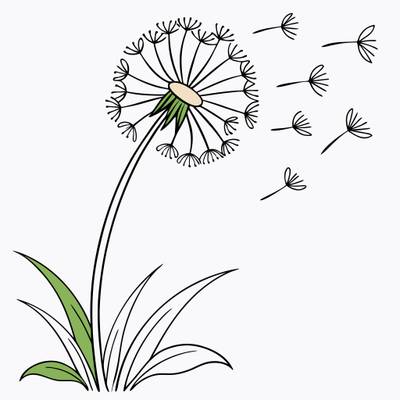 Colored version: Simple dandelion with blowing seeds