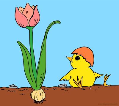 Versão colorida: Desenho de pintinho com flor para colorir e imprimir