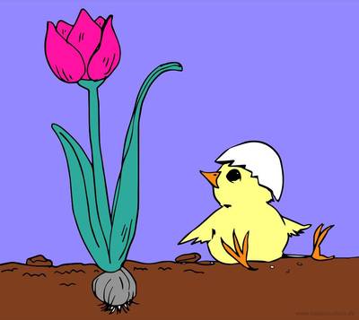 Wersja pokolorowana: Pisklę z kwiatkiem darmowe kolorowanki do druku