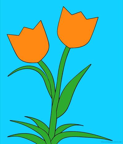 Colored version: Simple pair of tulips