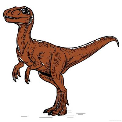 Fargelagt versjon: Realistisk Velociraptor