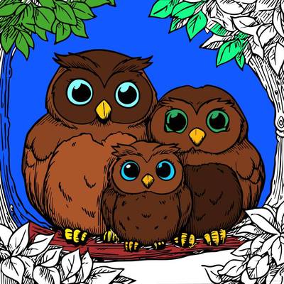 Ingekleurde versie: Uilenfamiliescène