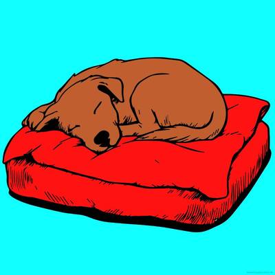 Farvelagt version: Sovende hvalp på en seng