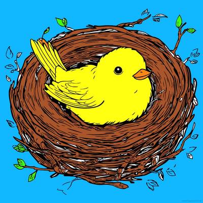 Ausgemalte Version: Kleiner Vogel im Nest