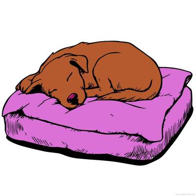 Farvelagt version: Sovende hvalp på en seng