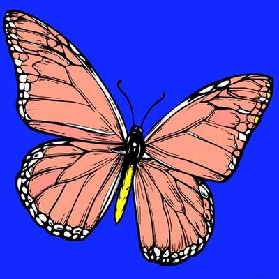 Ausgemalte Version: Schmetterling