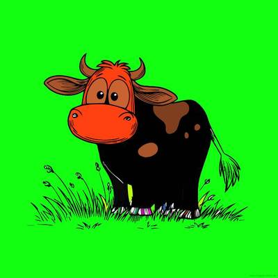 Colored version: Cute cartoon cow