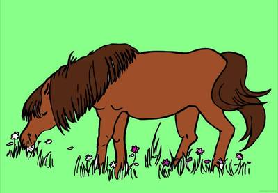 Ausgemalte Version: Grasendes Fohlen