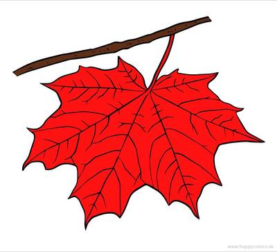Inspiration: Maple Leaf – colored by the community