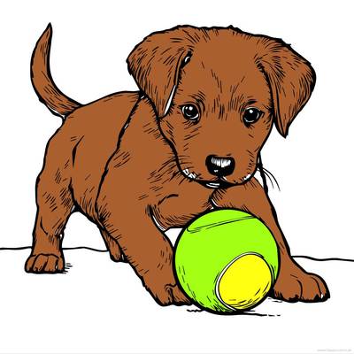 Farvelagt version: Hvalp med bold