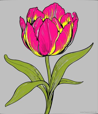 Ausgemalte Version: Aufblühende Tulpe
