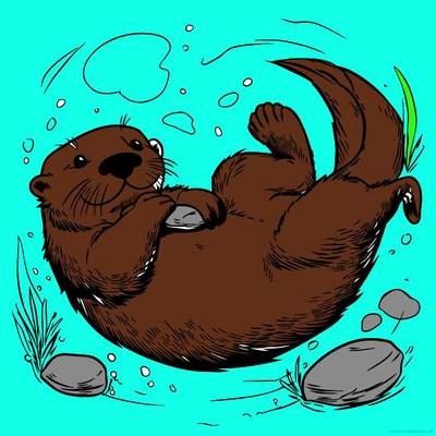 Ausgemalte Version: Süßer Otter beim Schwimmen
