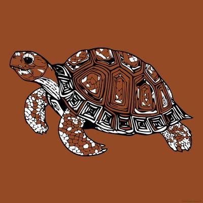 Ausgemalte Version: Große alte Schildkröte