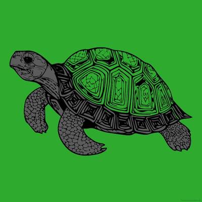 Ausgemalte Version: Große alte Schildkröte