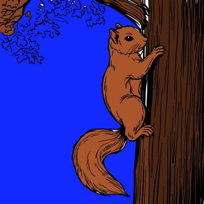 Ausgemalte Version: Eichhörnchen an einem Baum