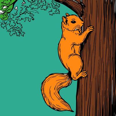 Ausgemalte Version: Eichhörnchen an einem Baum