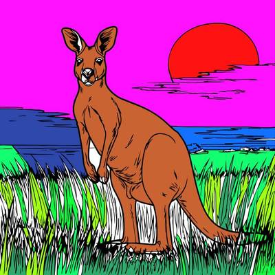 Ausgemalte Version: Känguru im Sonnenuntergang