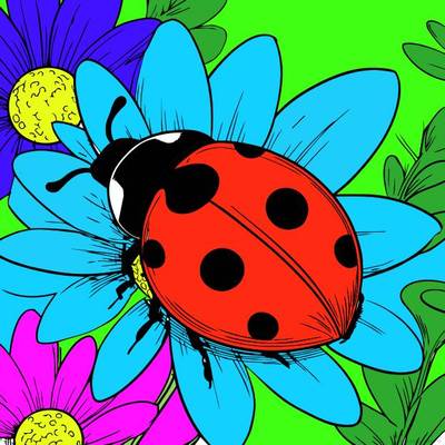Colored version: Ladybug on flowers