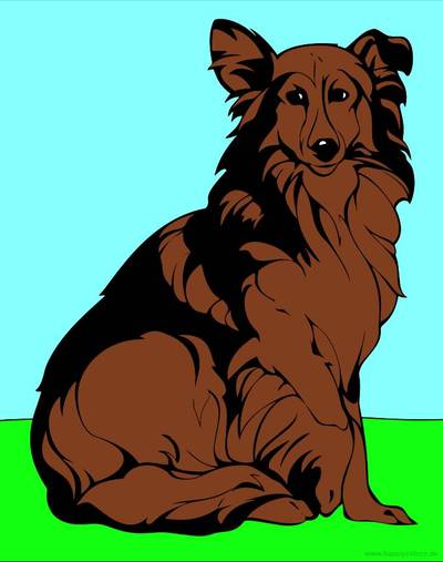 Ausgemalte Version: Collie