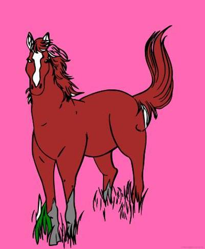 Ausgemalte Version: Fohlen im Stand