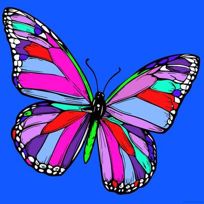 Colored version: Butterfly