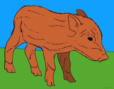 Ausgemalte Version: Wildschwein-Frischling