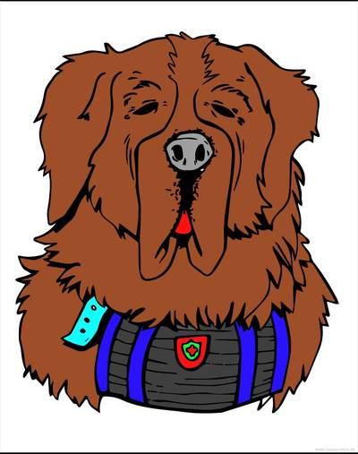 Ingekleurde versie: St-Bernard hoofd