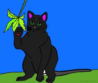 Wersja pokolorowana: Bawiący się kot bombajski darmowe kolorowanki do druku