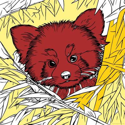 Ingekleurde versie: Rode panda