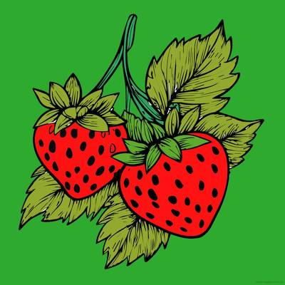 Fargelagt versjon: To jordbær