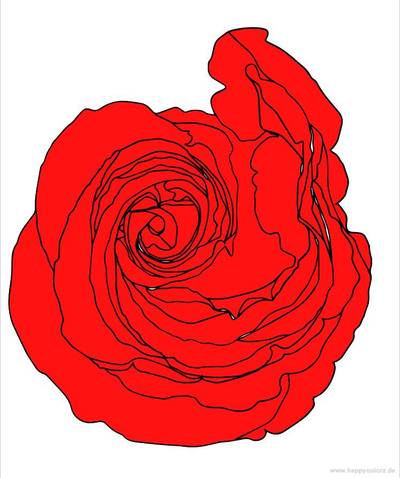 Colored version: Rose top view