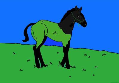 Ingekleurde versie: Veulen op de weide