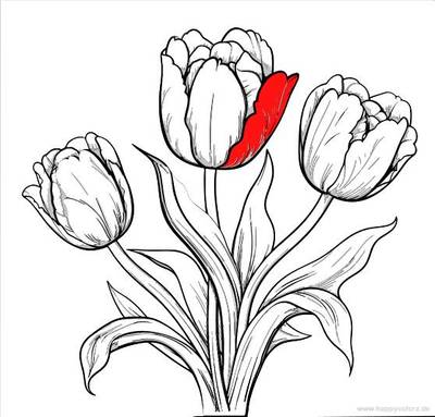 Ausgemalte Version: Einzelne Tulpen