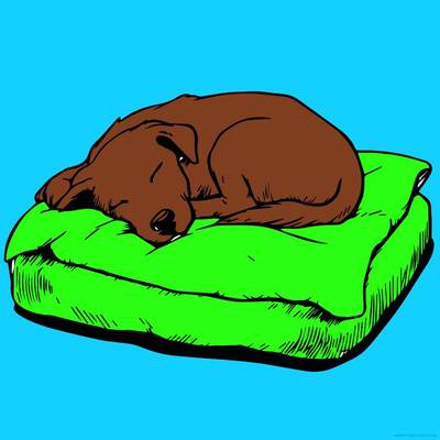 Colored version: Sleeping puppy on a bed