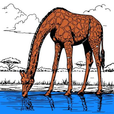 Ausgemalte Version: Giraffe an einer Wasserquelle