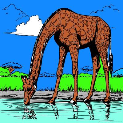 Ingekleurde versie: Giraf bij een waterbron