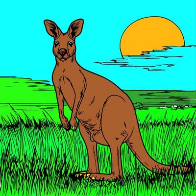 Ausgemalte Version: Känguru im Sonnenuntergang