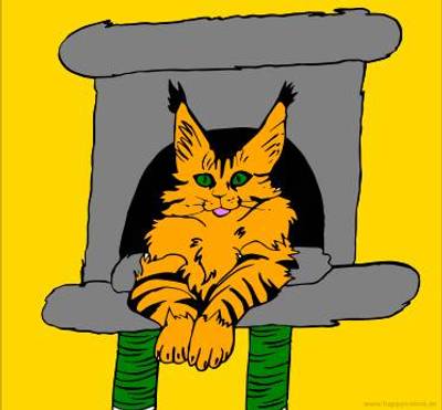 Ausgemalte Version: Maine-Coon