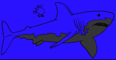 Versione colorata: Grande squalo bianco