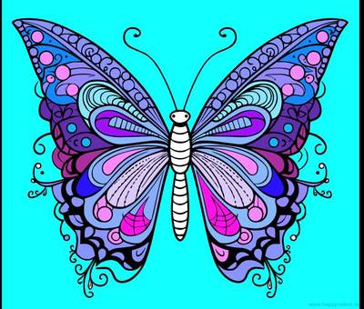 Ausgemalte Version: Schmetterling