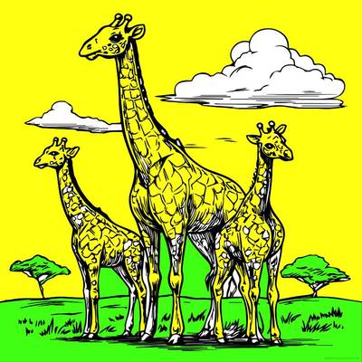 Väritetty versio: Giraffit ruohoisessa maisemassa