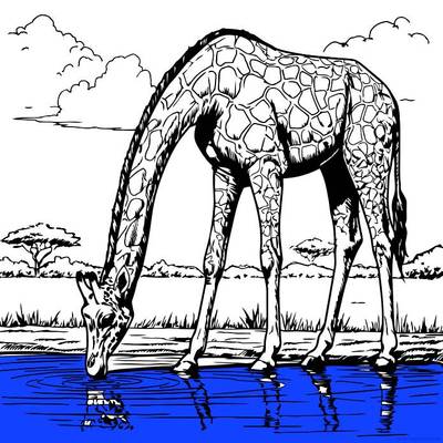 Väritetty versio: Giraffi vesilähteellä