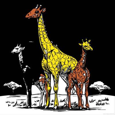 Väritetty versio: Giraffit ruohoisessa maisemassa