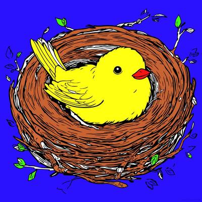 Versão colorida: Pássaro em um ninho aconchegante